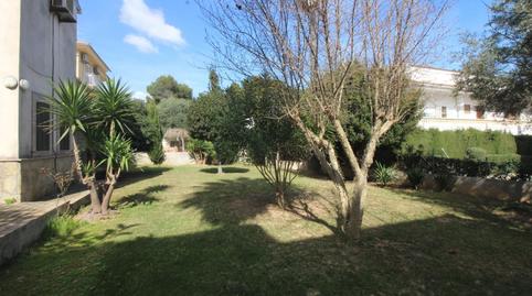 Foto 5 de Casa o xalet en venda a Can Picafort, Santa Margalida