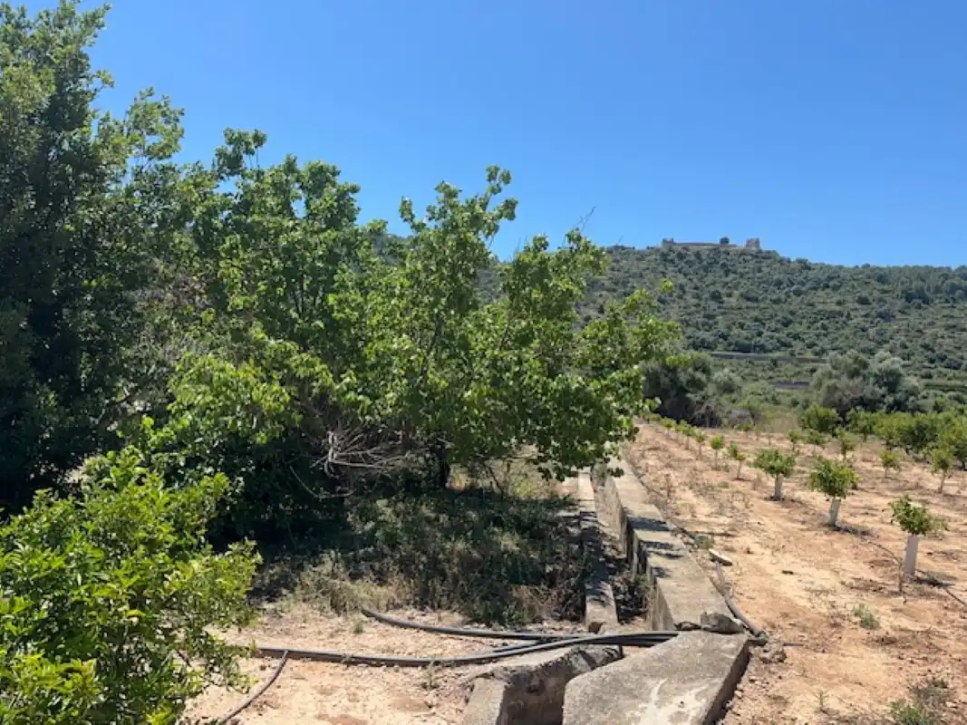 Terreno en venta en La Font d'en Carròs