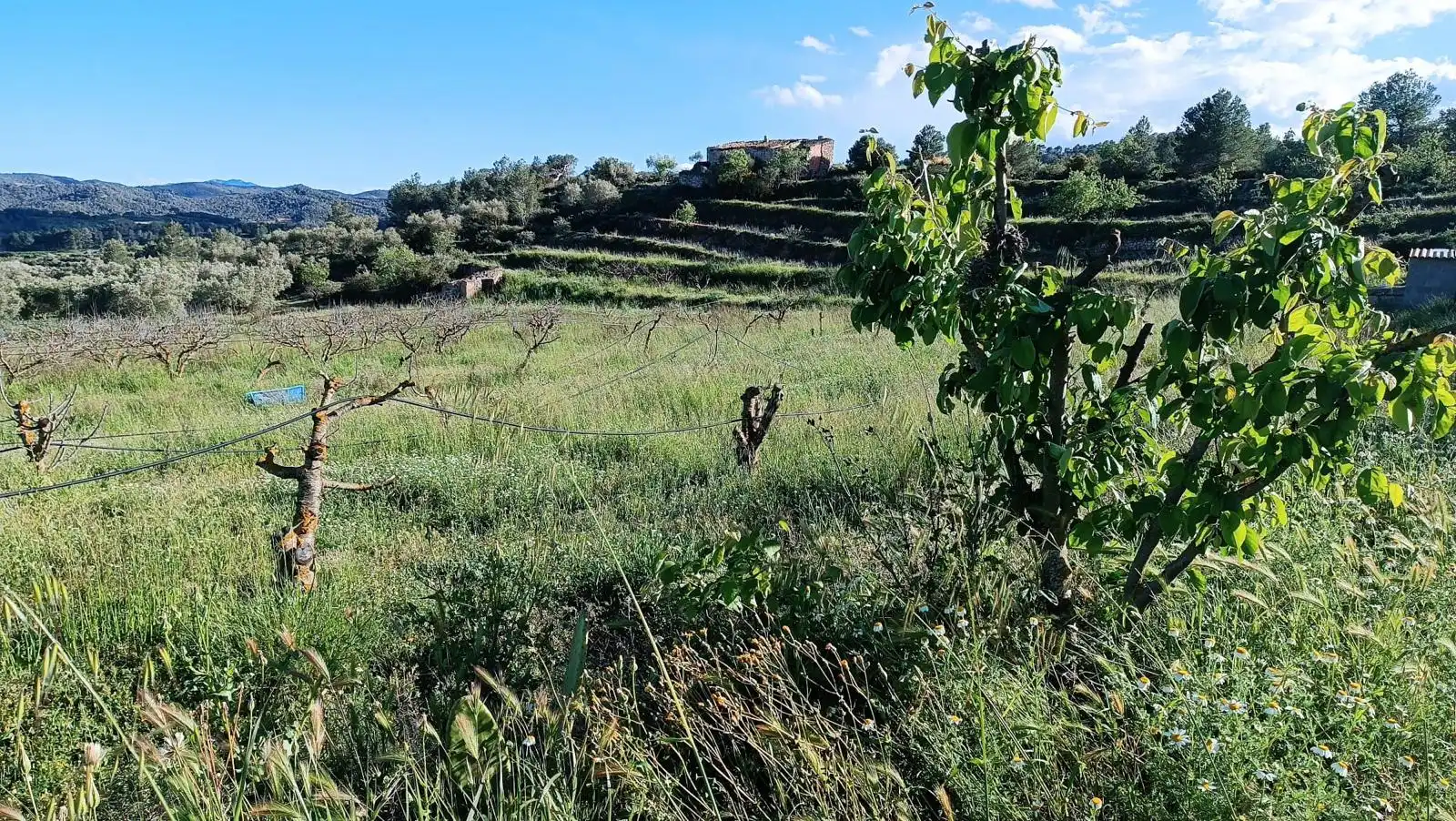 Terreno en venta en La Fatarella