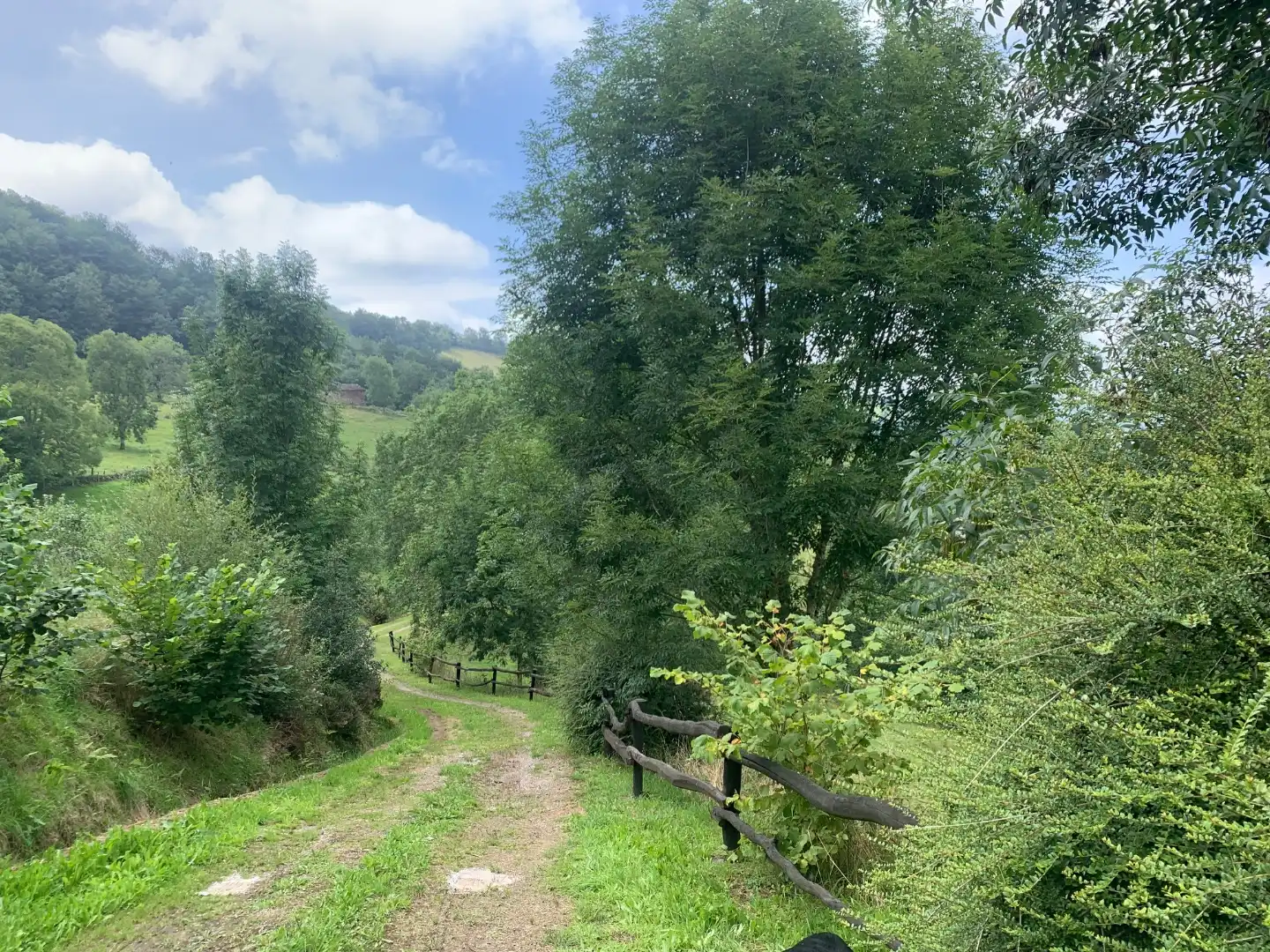 Land for sale in Vega de Pas