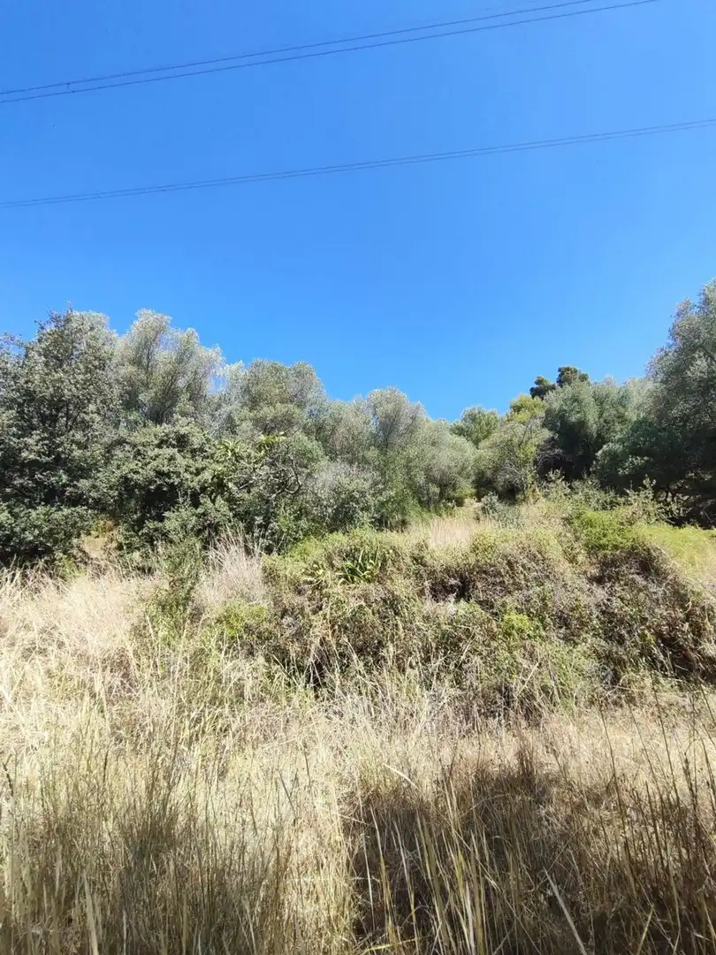 Terreny residencial en venda a T-704 2, imagen 6