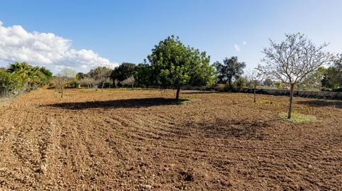 Photo 5 of Country house for sale in Polígono Parcela 120, Zona Periurbana, Inca