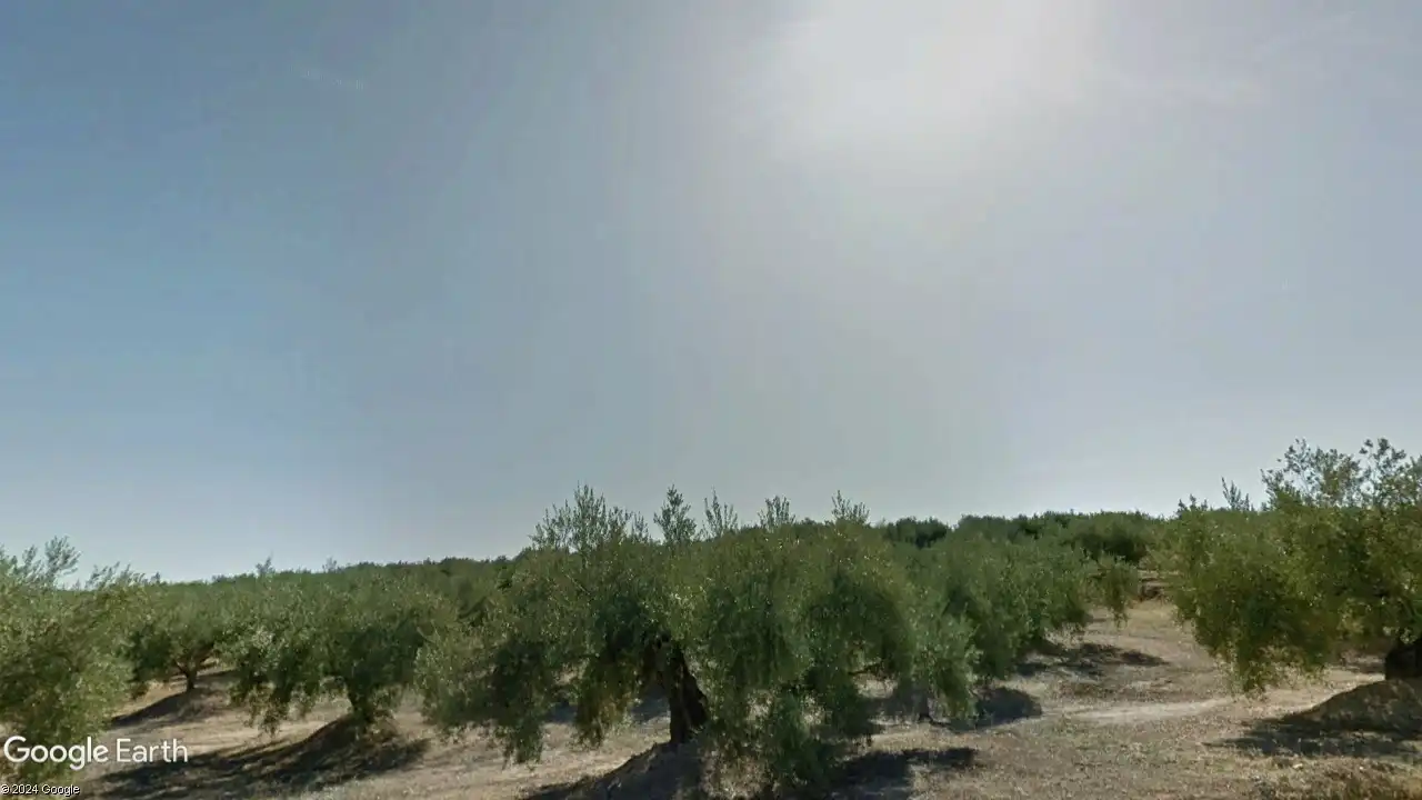 Terreni e lotti in vendita a Torredonjimeno, imagen 3