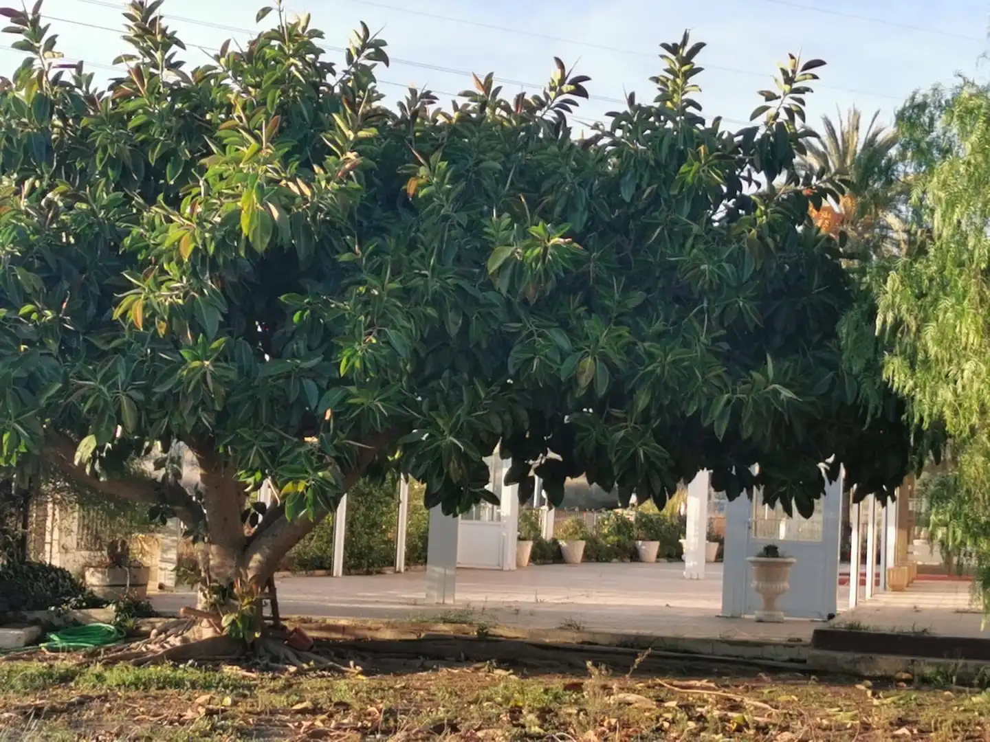Jardí de Edifici en venda en San Vicente del Raspeig / Sant Vicent del Raspeig