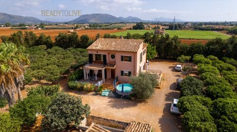 Foto 3 de Finca rústica en venta en Cami Gorrions Pol.9, Sa Pobla, Illes Balears