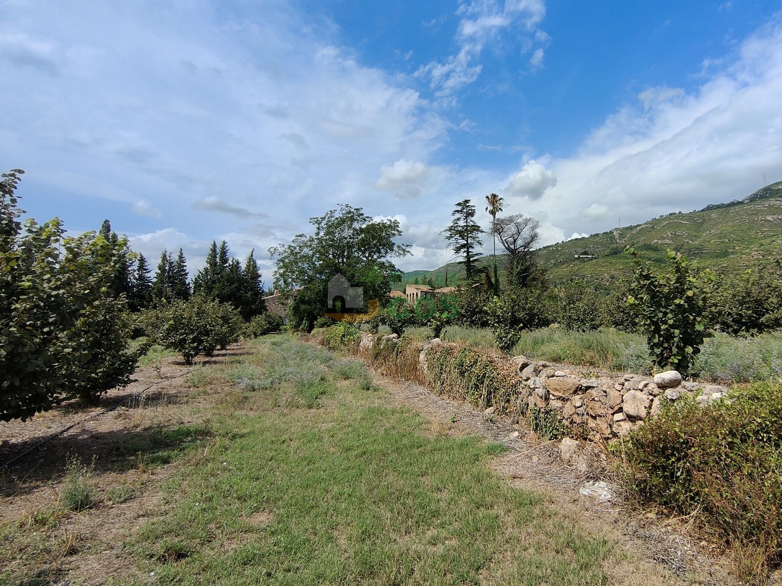 Casa o xalet en venda en Alcover