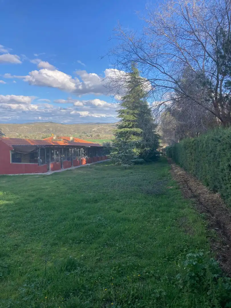 Garden of Land for sale in Rivas-Vaciamadrid