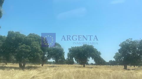 Photo 3 of House or chalet for sale in Poligono 8 Paraje 77 Grupo 2 Prejigo, Monroy, Cáceres