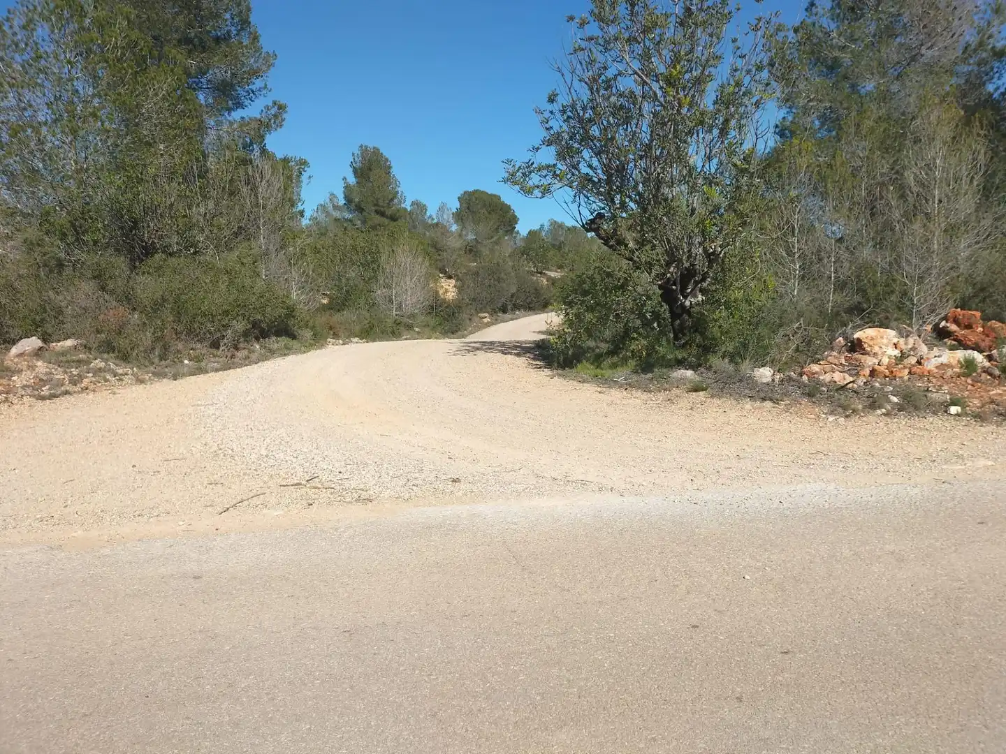 Terreno rustico in vendita a Polígono 9 Parcela 578 EL PORRE. NAVARRES (VALENC, imagen 18