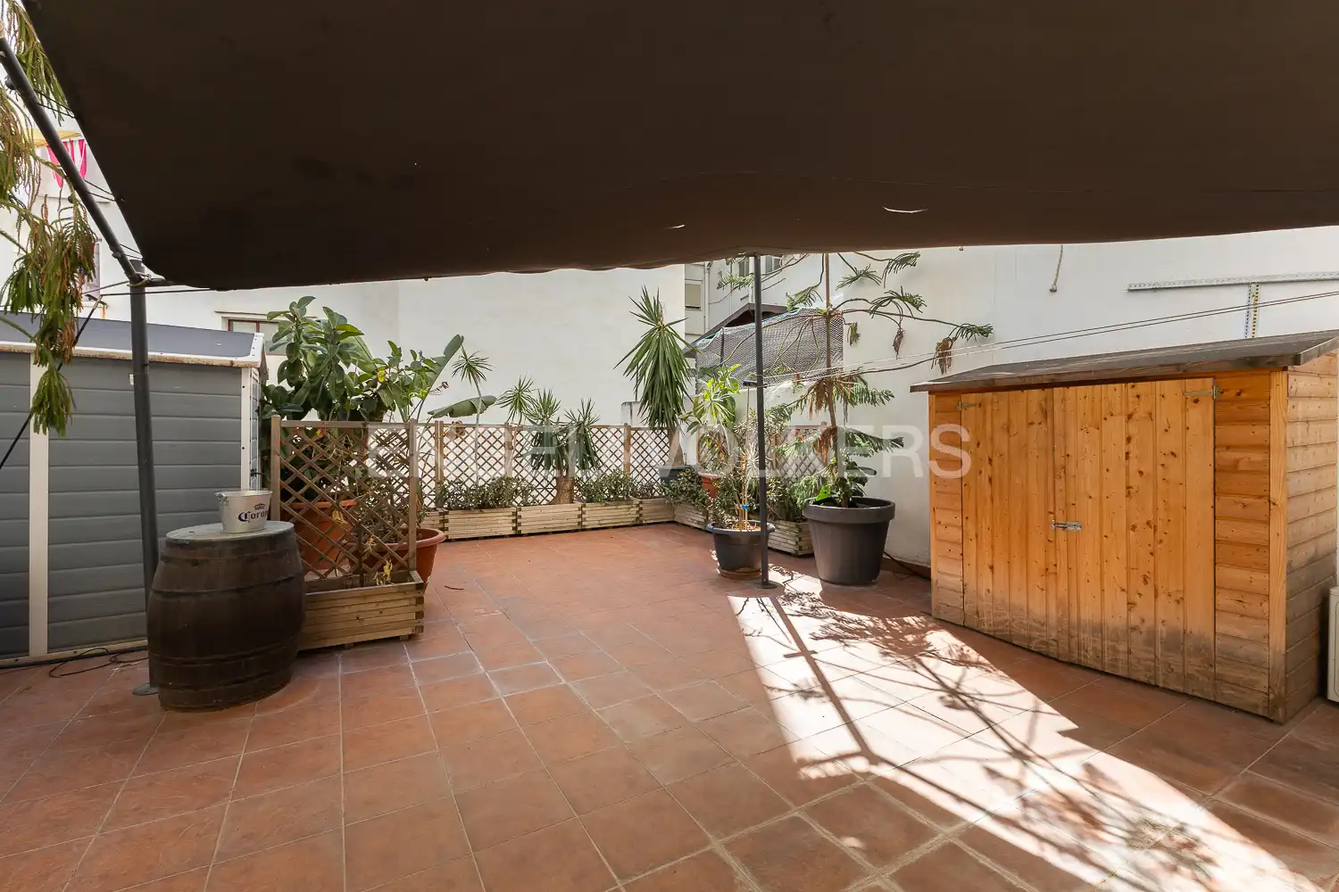 Terrasse von Wohnung zur Miete in Jesús