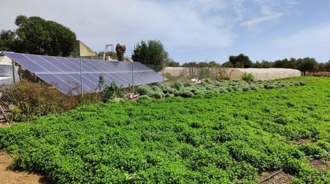 Foto 5 de Finca rústica en venta en San Rafael del Río, Castellón