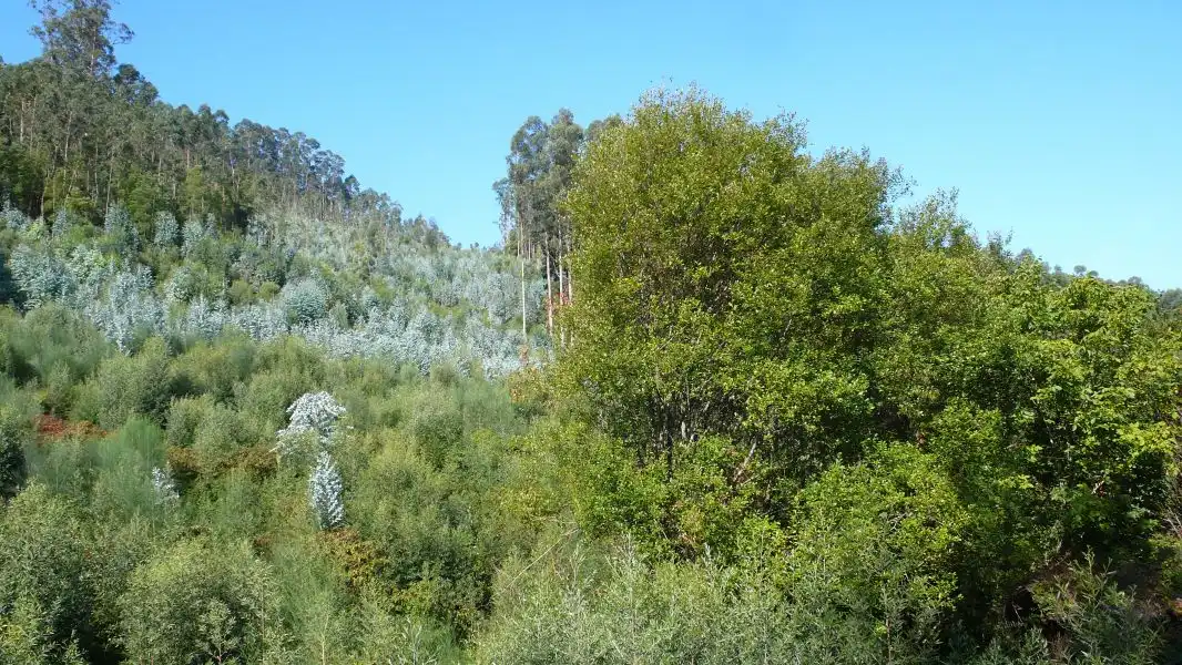 Terreni e lotti in vendita a Ramorta de Arriba, imagen 4