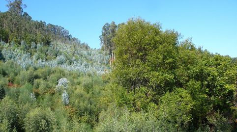 Foto 4 de Terreno en venta en Ramorta de Arriba, Bueu, Pontevedra
