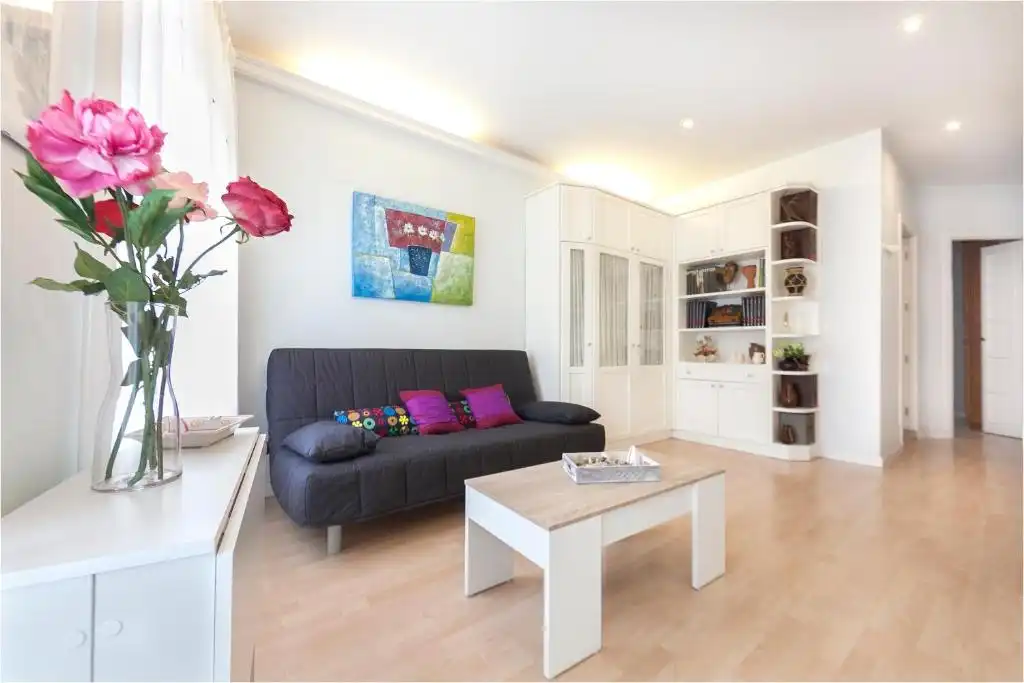 Living room of Flat for rent in Centro