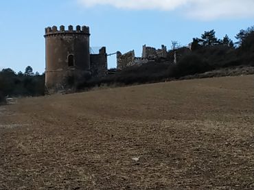Terrain rustique à vendre à Passeig de la Mussara