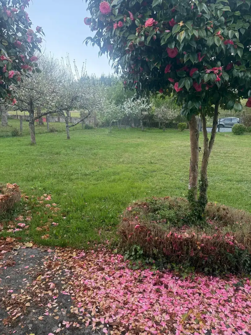 Casa o chalet en venta en Friol