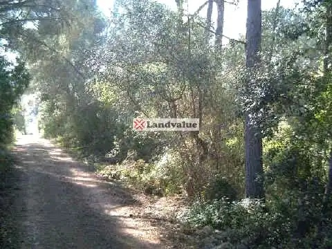 Rustikales Grundstück zum Verkauf in LA ROTA. POL 10 PARC 873, imagen 5