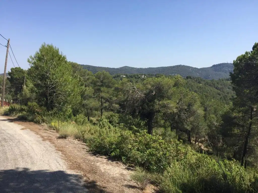 Terreny rústic en venda a BAIX PENEDES, imagen 7