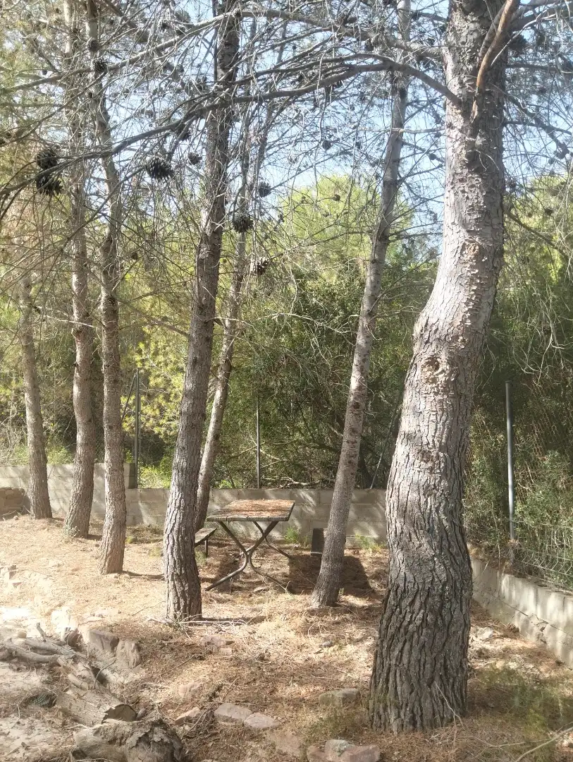 Chalet con jardín en venta en Vilamarxant, imagen 31