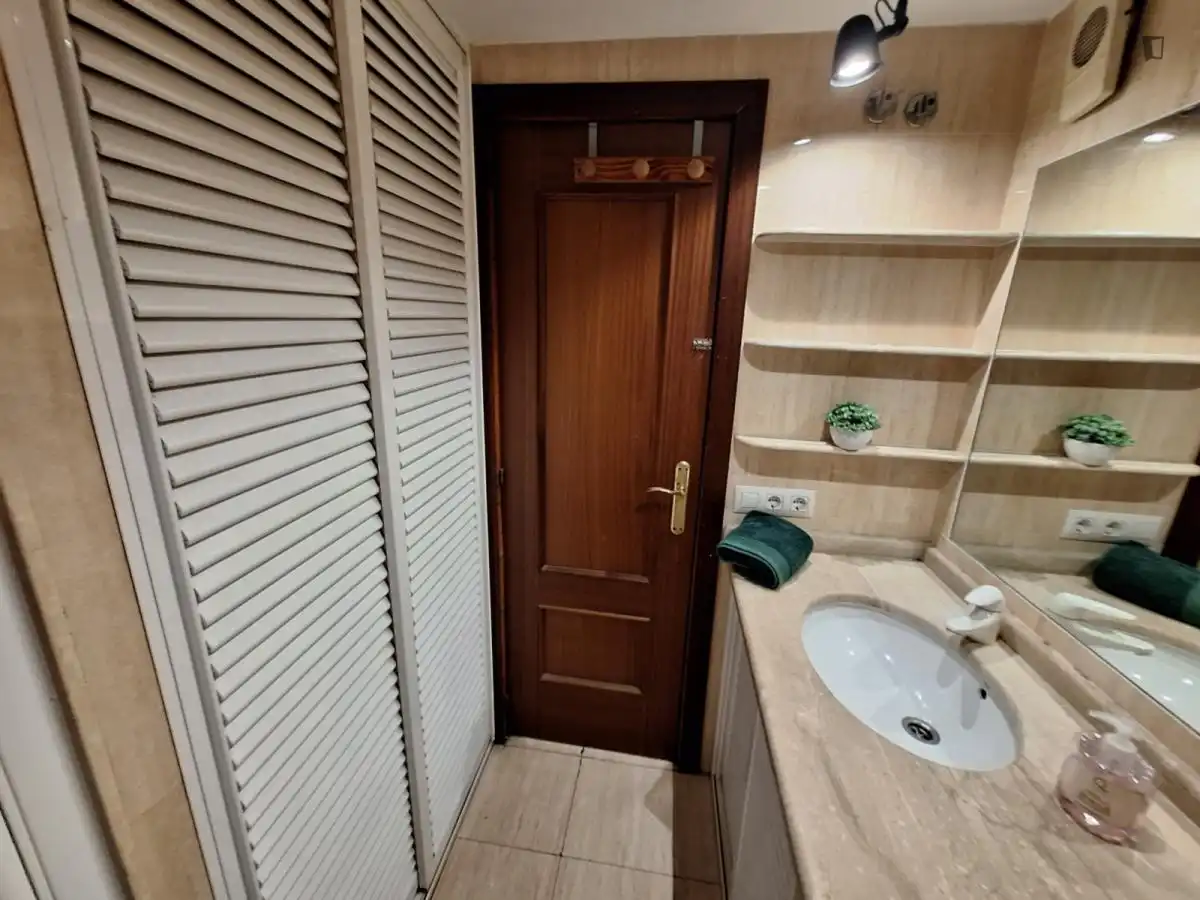 Bathroom of Apartments for share in Sevilla  with Furnished, Washing machine and Internet