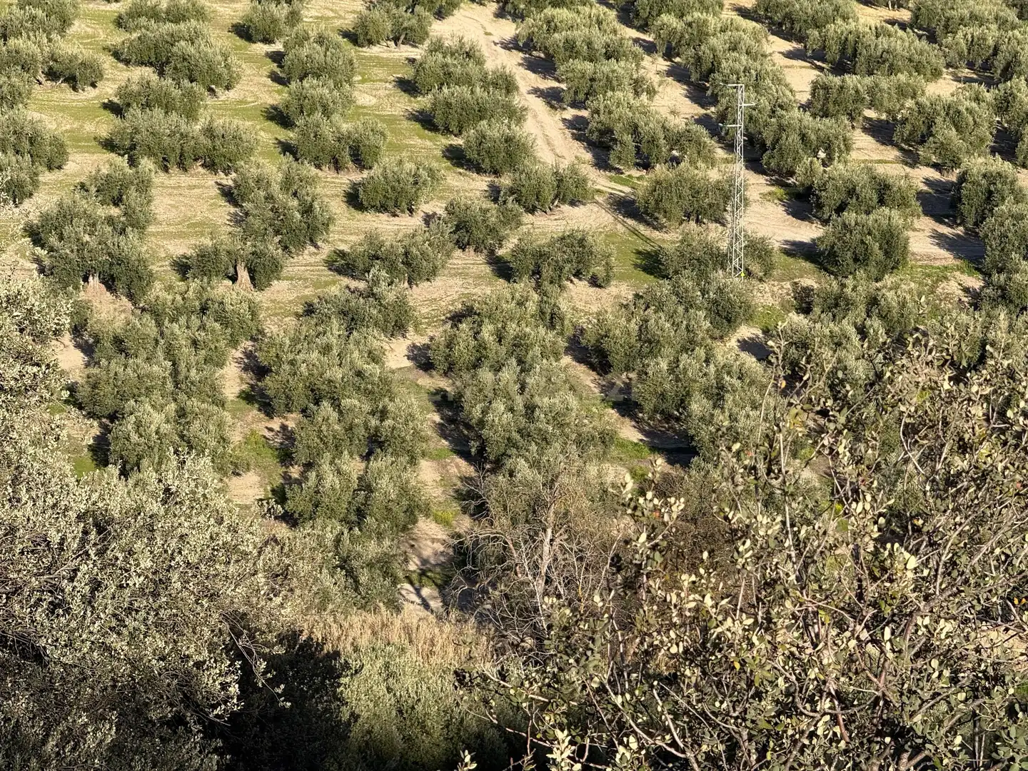 Rustikales Grundstück zum Verkauf in 8536+FQ Algarra sales, Spain, imagen 12