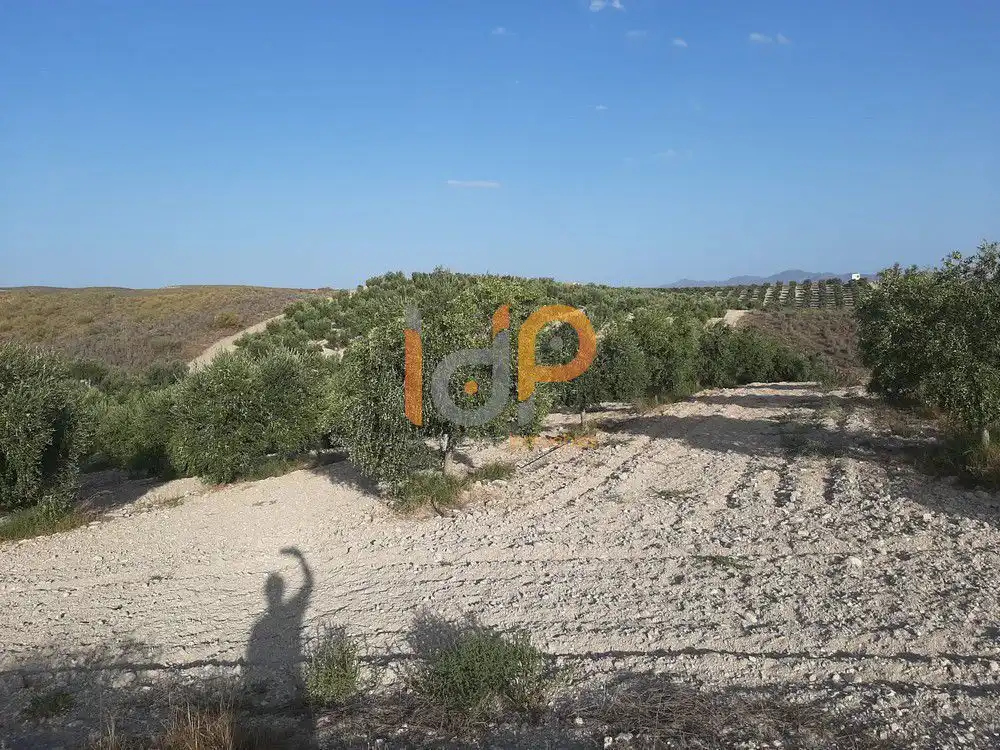 Maison à vendre à Sorbas, imagen 15
