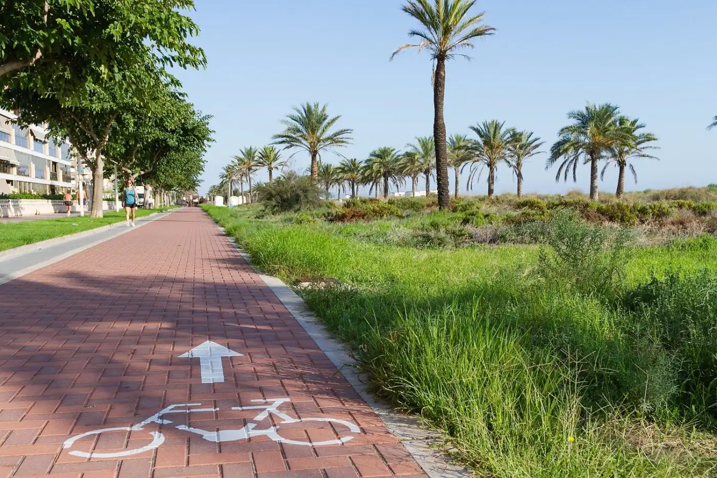 Vista exterior de Apartamento en venta en Gandia con Jardín privado, Terraza y Balcón