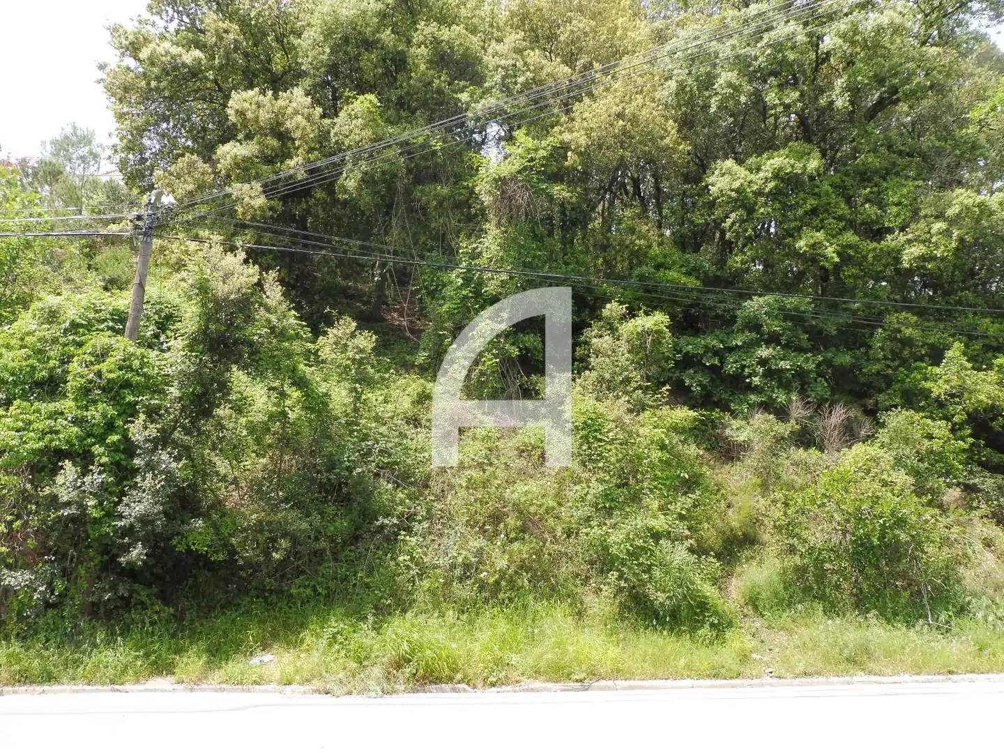Terreny rústic en venda a Serra de Sant Feliu del Racó, imagen 5