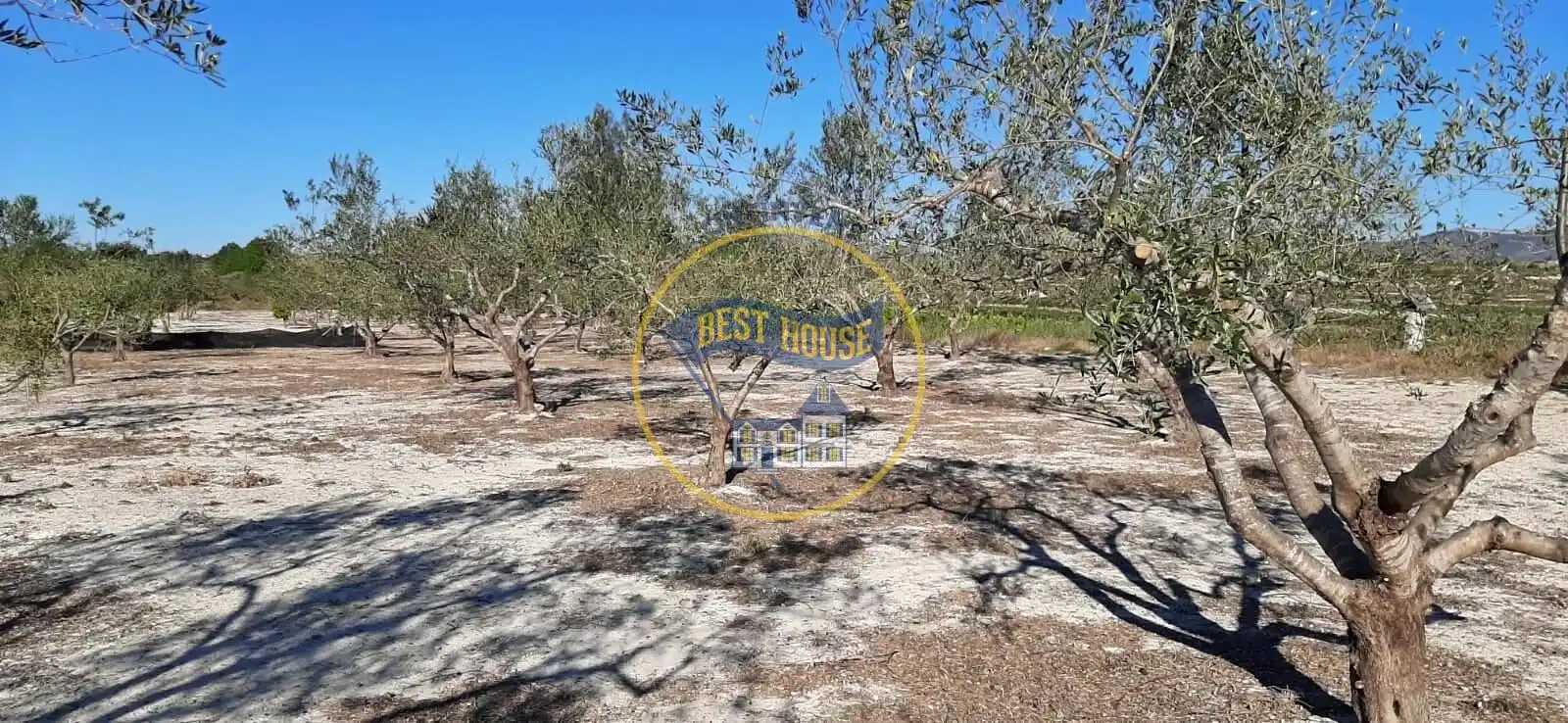 Finca rústica en venda en Albaida amb Traster i Piscina