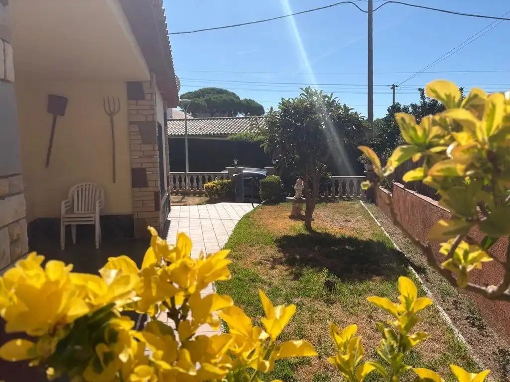 Garden of Houses for sale in Premià de Dalt, Barcelona