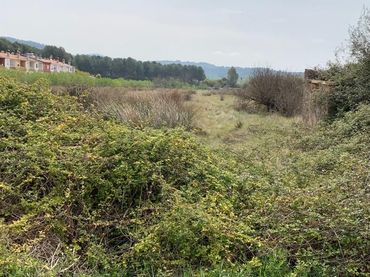 Terreny residencial en venda a Carrer de Sant Miquel 15