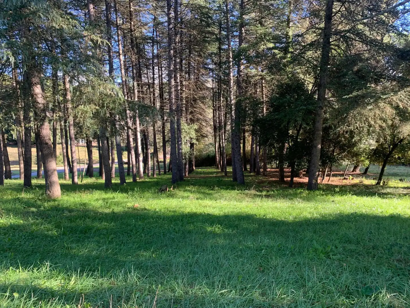 Residencial en venda en Sant Pere de Vilamajor