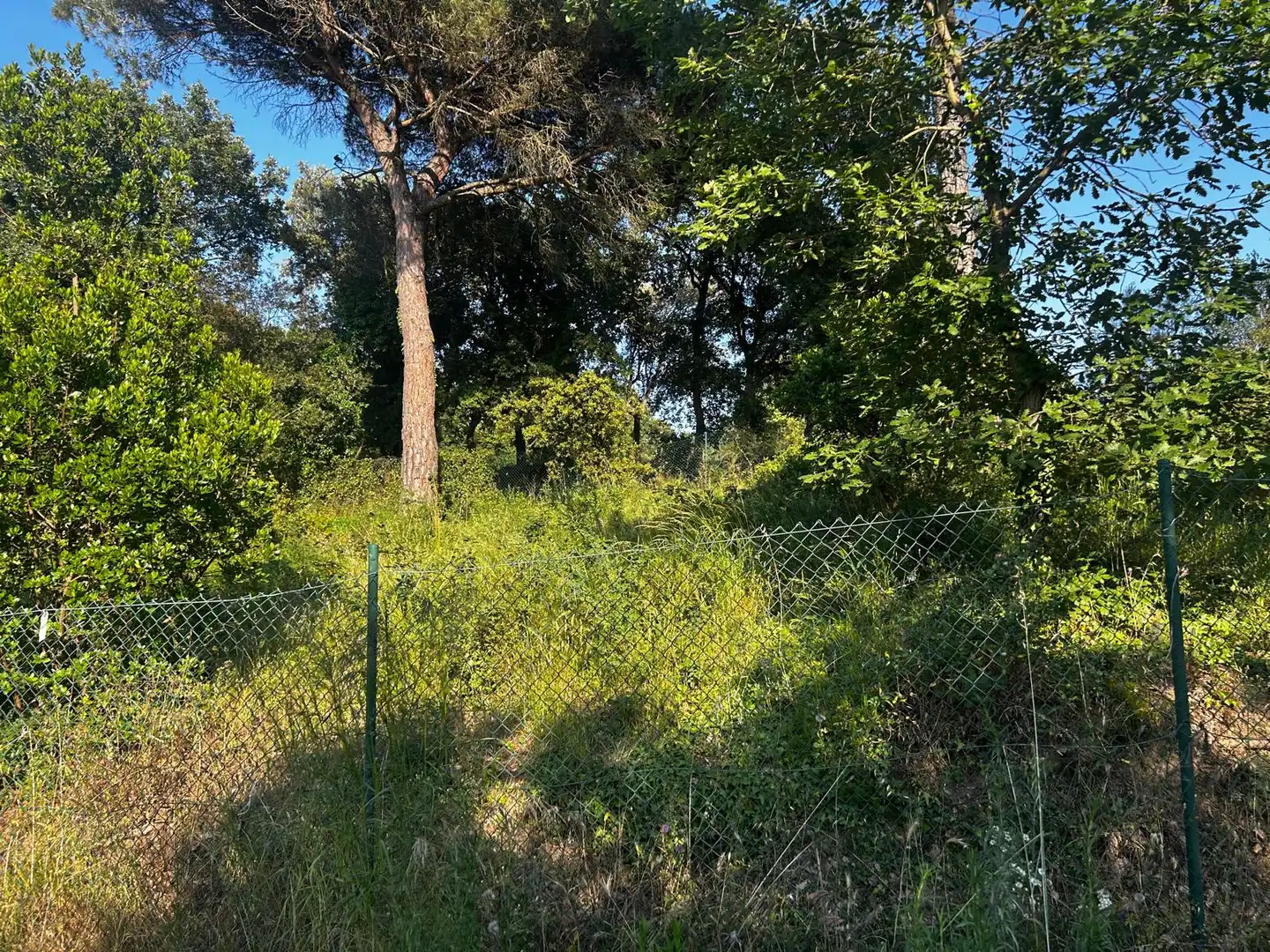 Residential land for sale in Residencial Park, imagen 3
