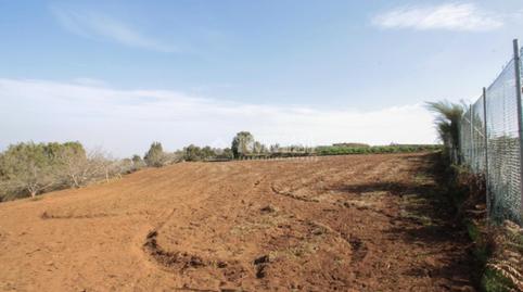 Foto 4 de Terreno en venta en La Esperanza - Llano del Moro, El Rosario