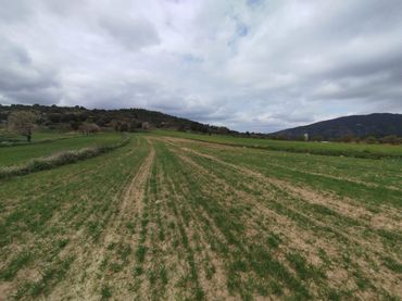 Terreny rústic en venda a Peñarroya de Tastavins