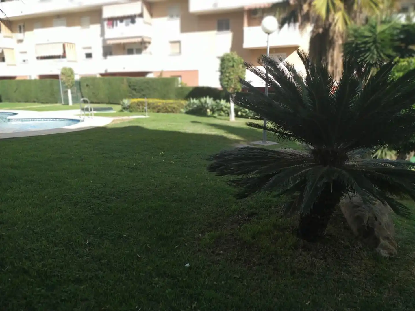 Garden of Flat for rent in Estepona Pueblo