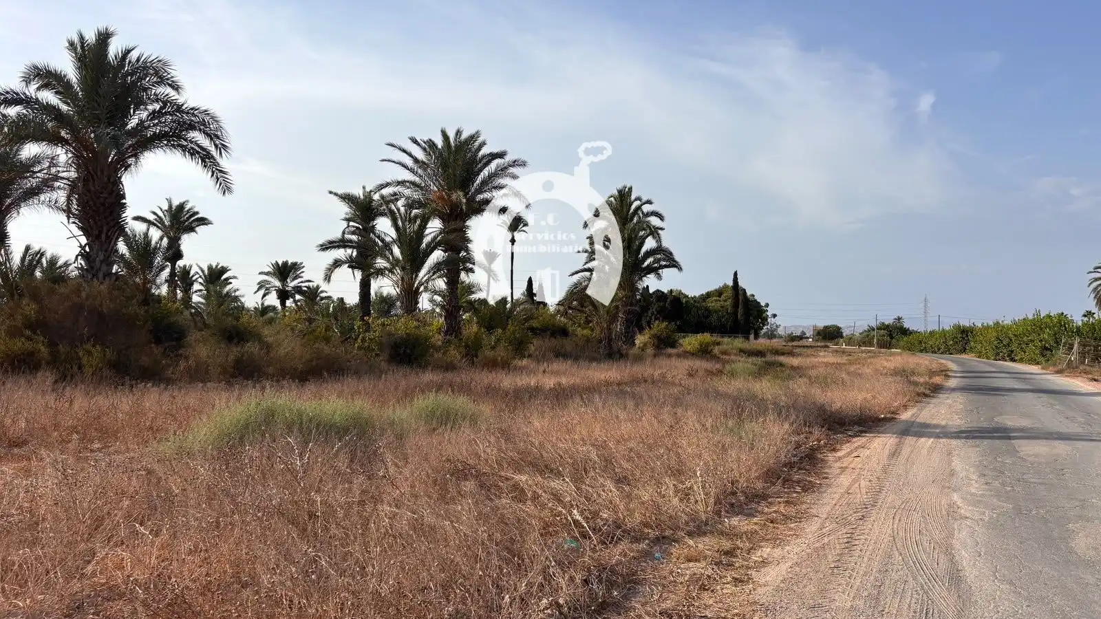 Terrain rustique à vendre à Fondo de l'Ermita, 03294 Elx, Alicante, imagen 6