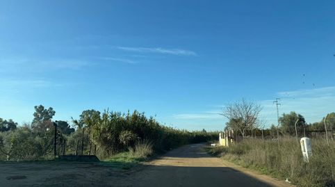 Foto 4 de Finca rústica en venda a Callejón de la Dehesa, Pilas, Sevilla