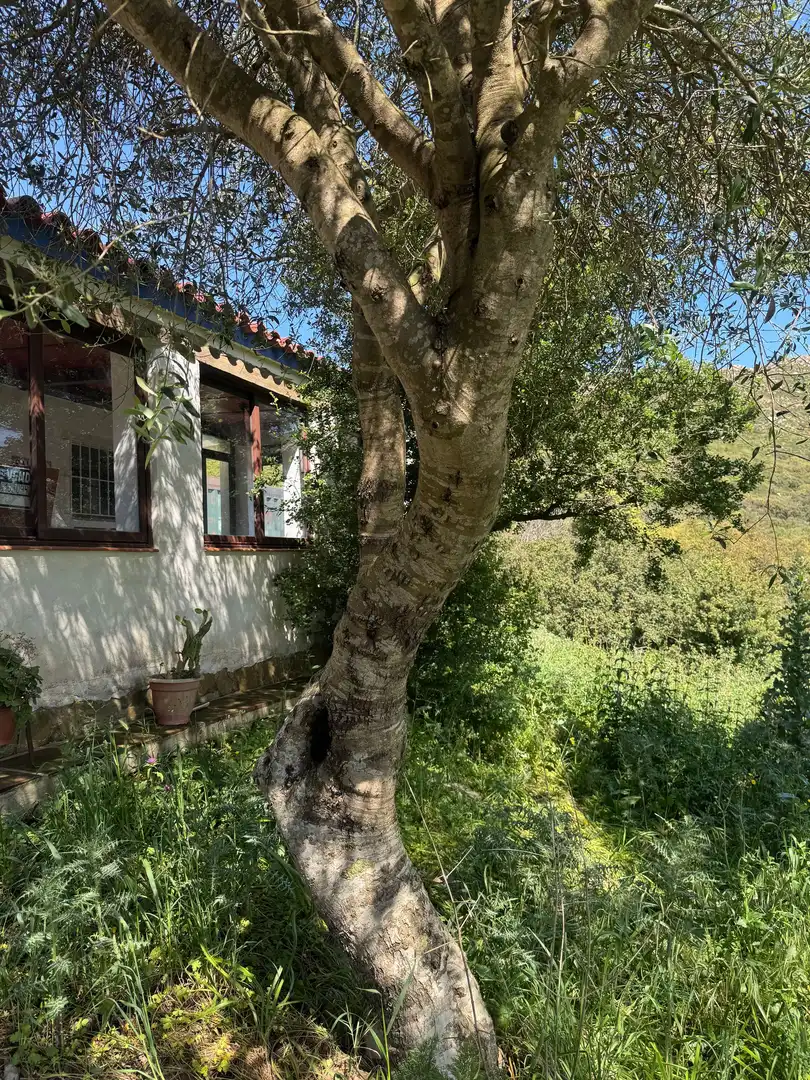 Residential zum Verkauf in El Cuartón - El Bujeo