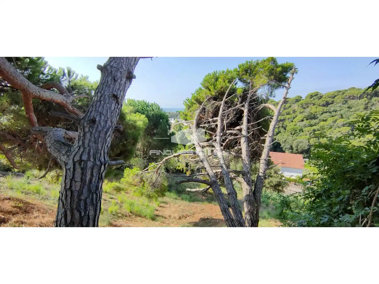 Terreno residencial en venta en Calle Llevante, imagen 3