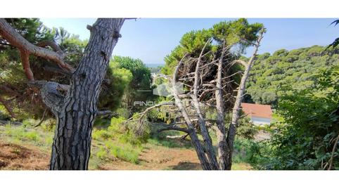 Foto 3 de Residencial en venda a Llevante, Calella, Barcelona