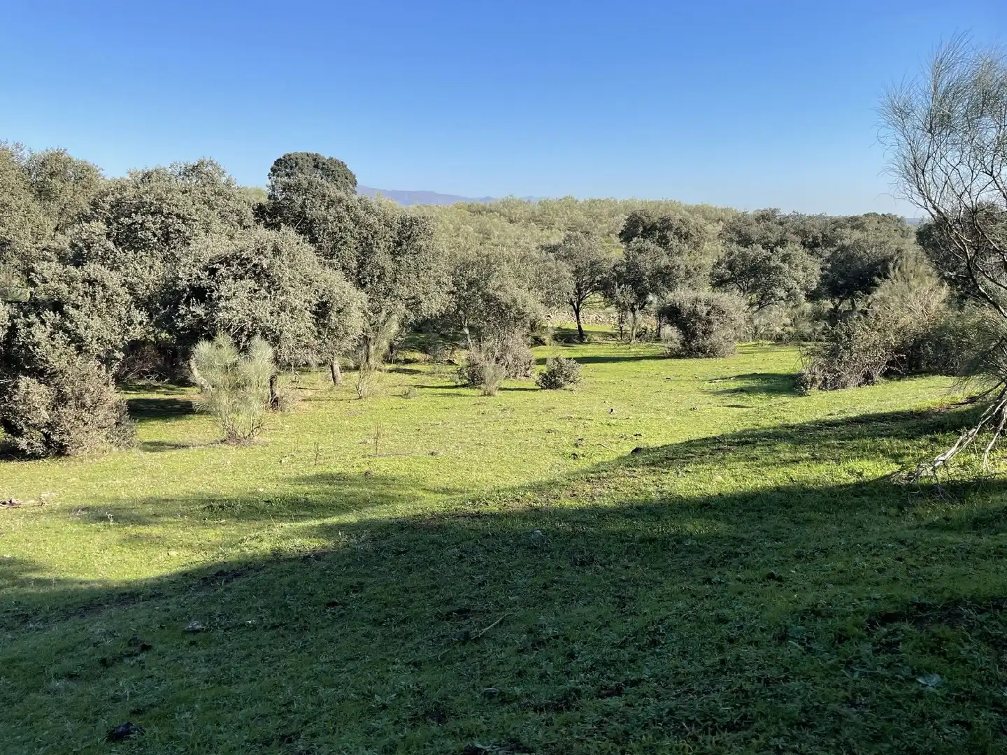 Terreni e lotti in vendita a Malpartida de Plasencia, imagen 3