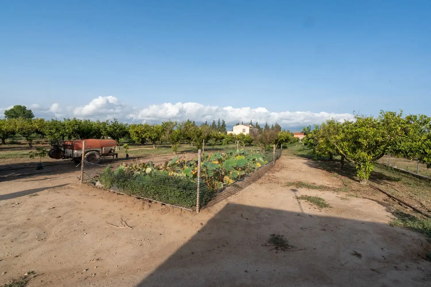 Garten von Country house zum Verkauf in Tortosa mit Privatgarten, Terrasse und Abstellraum