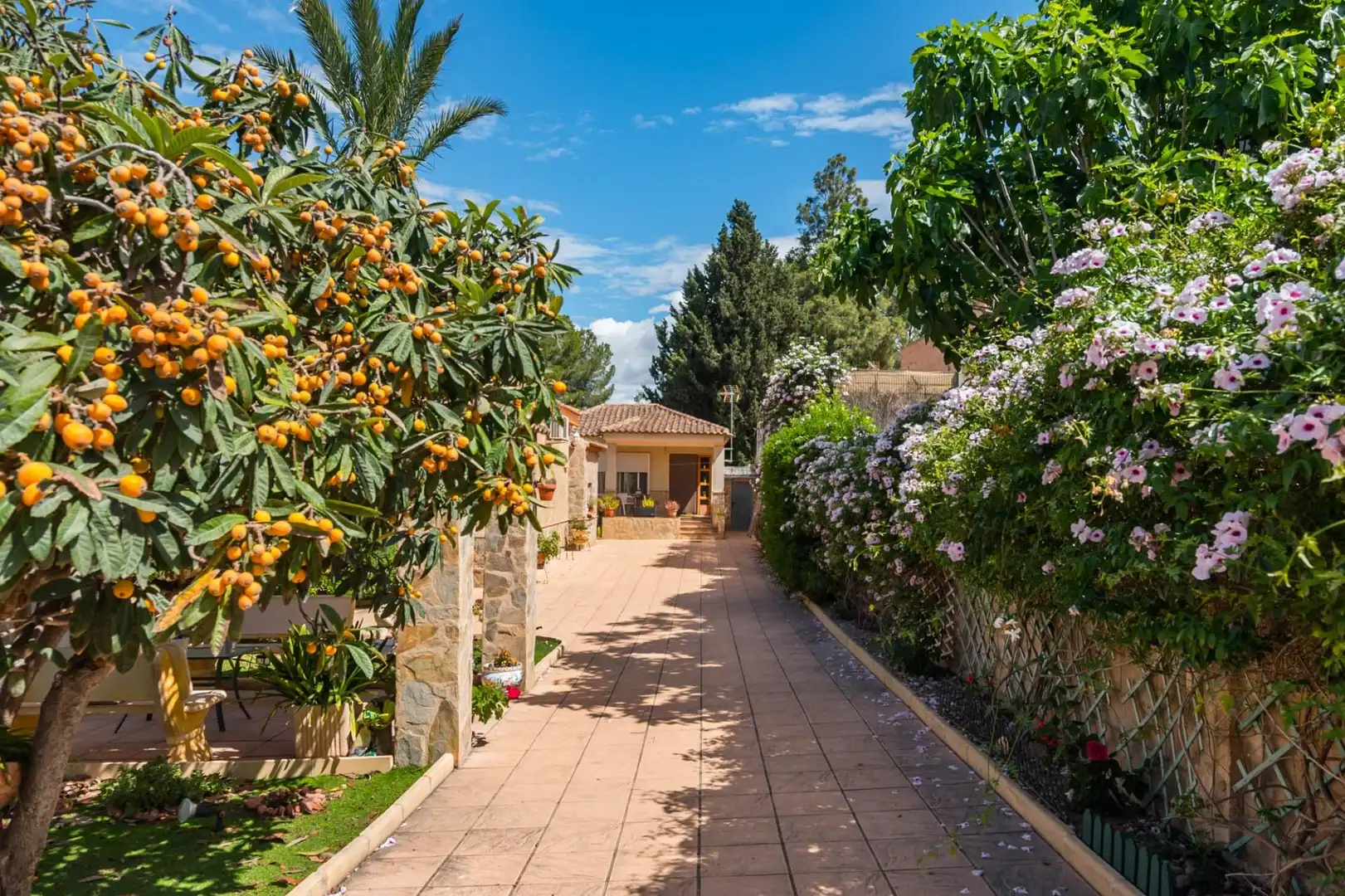 Jardí de Casa o xalet en venda en Molina de Segura amb Aire condicionat, Calefacció i Jardí privat