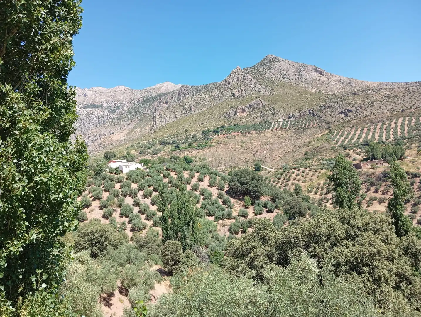 Xalet amb piscina en venda a Sierra Mágina, imagen 33