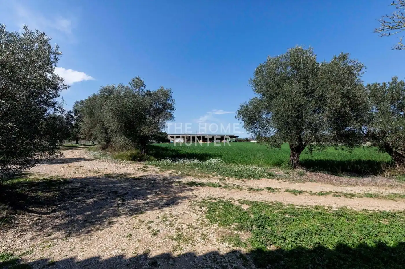 Houses for sale in Siurana