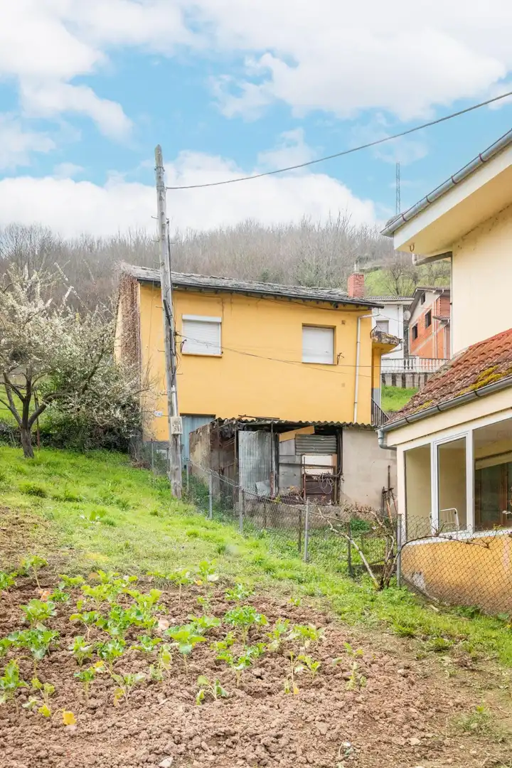 Vista exterior de Casa o xalet en venda en Cangas del Narcea amb Calefacció, Jardí privat i Terrassa