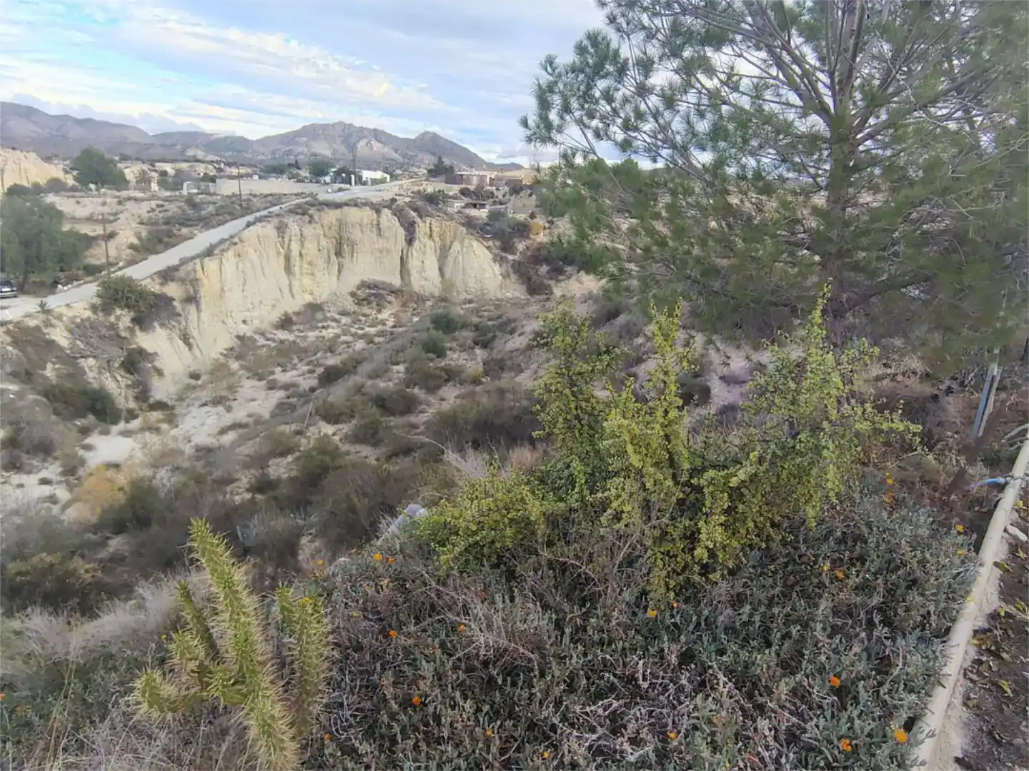 Vista exterior de Casa o chalet en venta en Abanilla con Balcón