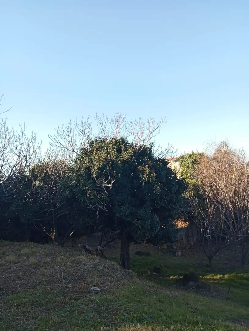Terreni e lotti in vendita a Calle BURGOS, imagen 5