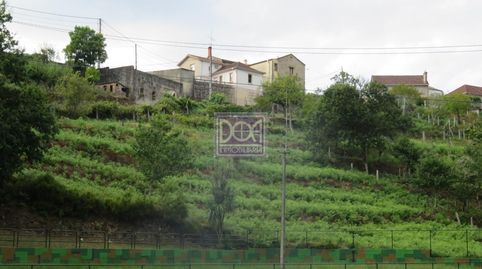 Immagine 1 dell'annuncio